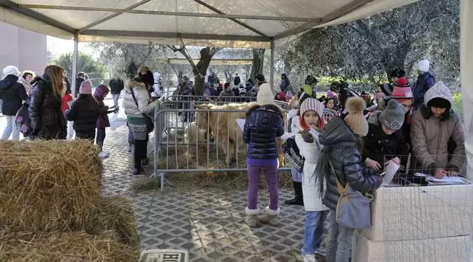 Fiera della Candelora a Martano