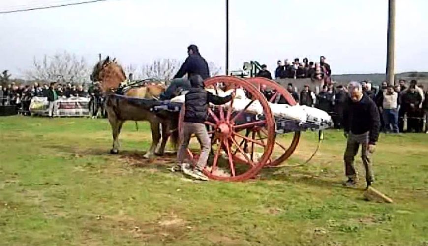 Fiera di San Giuseppe a Giuggianello