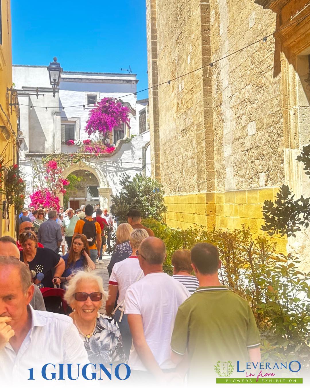 Leverano in fiore