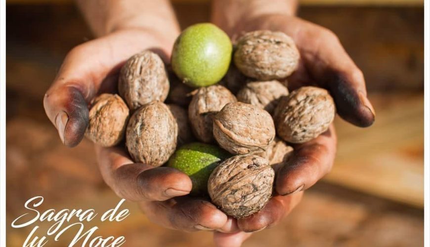 Sagra de lu Noce a Nociglia