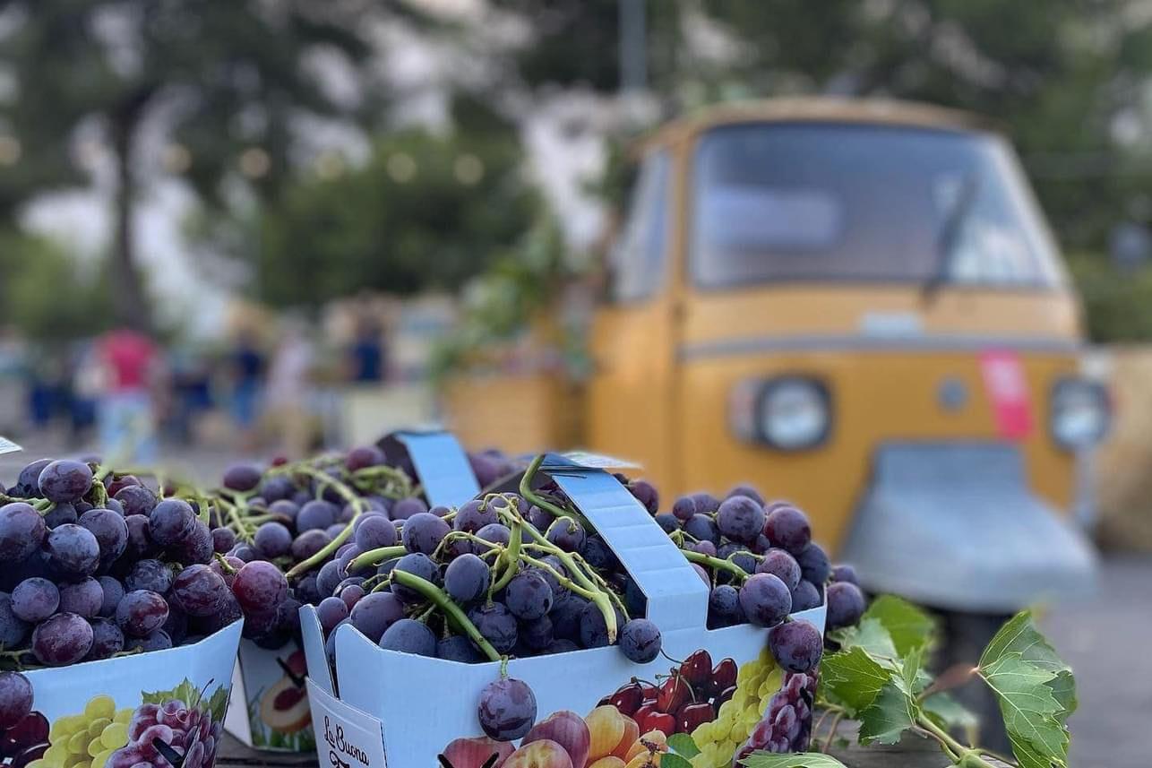 Sagra dell’Uva Cardinale a Guagnano
