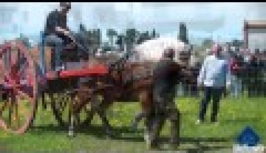 Fiera di San Giuseppe