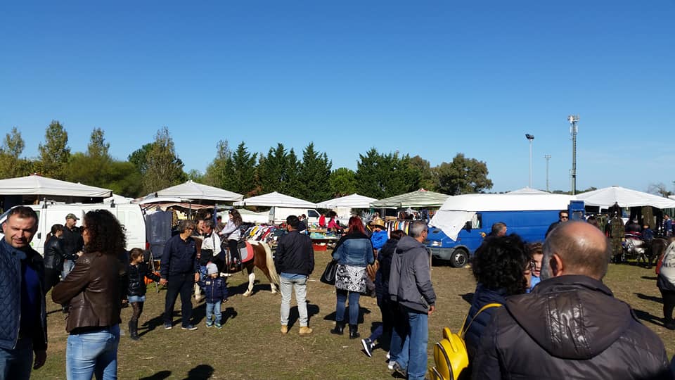 Fiera di Ognissanti a Carpignano salentino