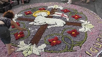 Infiorata di Felline