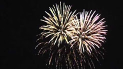 Festa patronale di Sant'Antonio da Padova