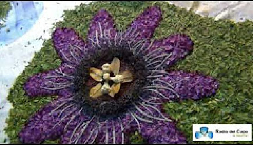 Infiorata del Corpus Domini