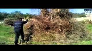 Festa di San Biagio della Macchia