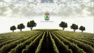 Fiera della Madonna della visitazione