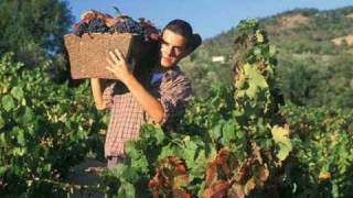 Sagra dell'Uva Cardinale