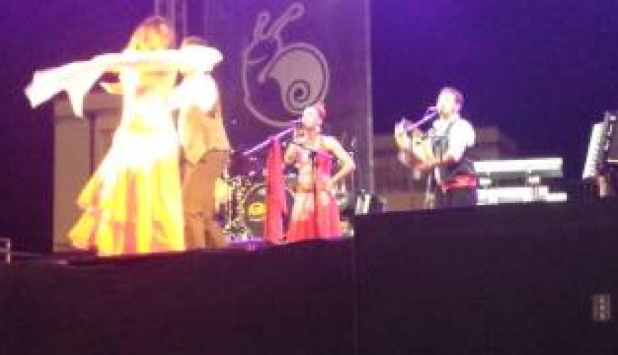 Festa di San Vincenzo Ferreri