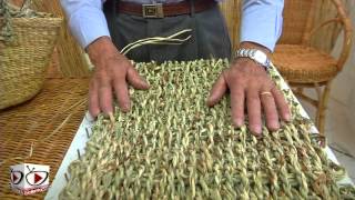 festa in onore del Santo Patrono