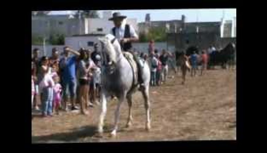 Fiera Madonna dell'Uragano